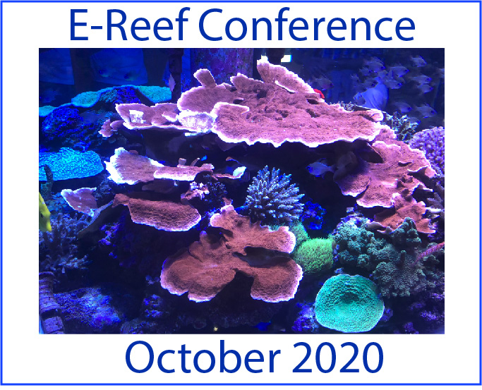 E-REEF Conference 2020