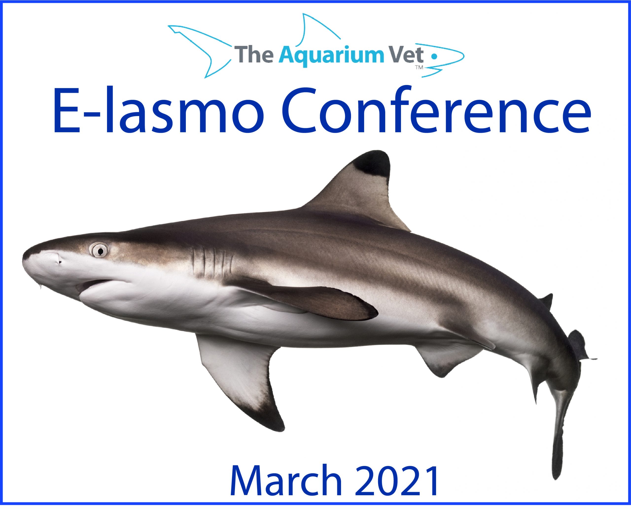 E-lasmo Conference 2021