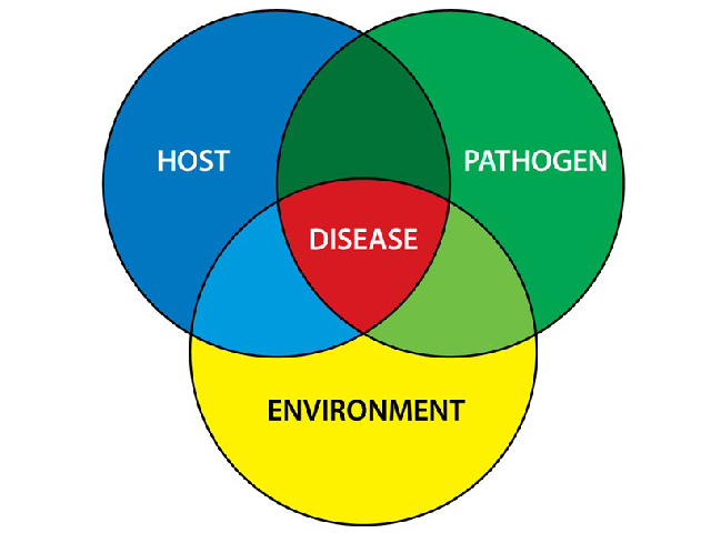 Module Two - Disease Concepts and Diagnostics in Fish