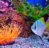 Suspendisse arcu nisl