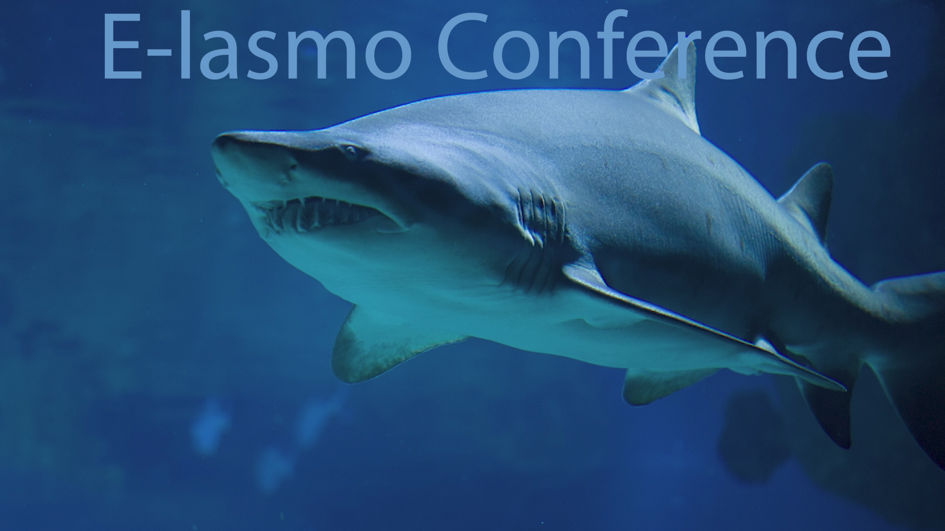 E-lasmo Conference 2020