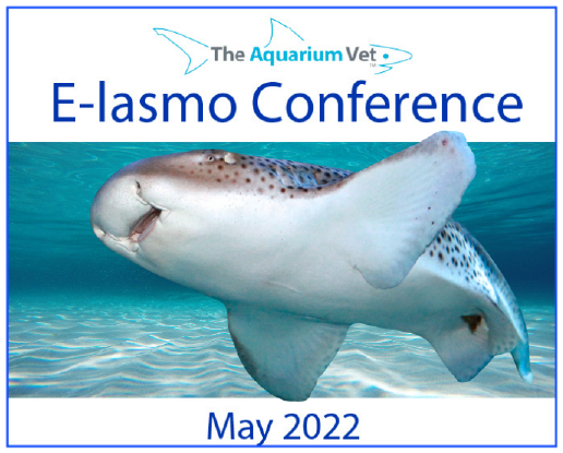 E-lasmo Conference 2022