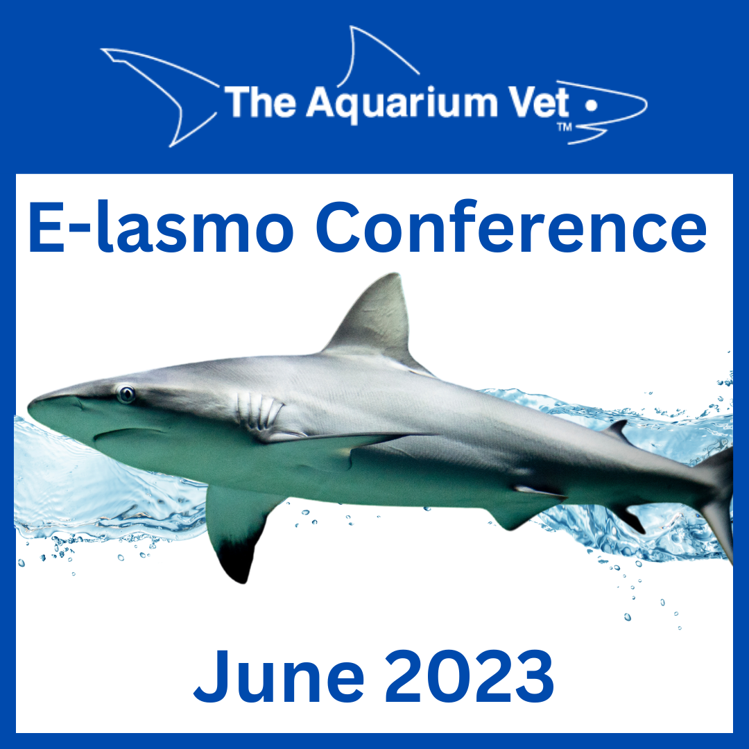 E-lasmo Conference 2023