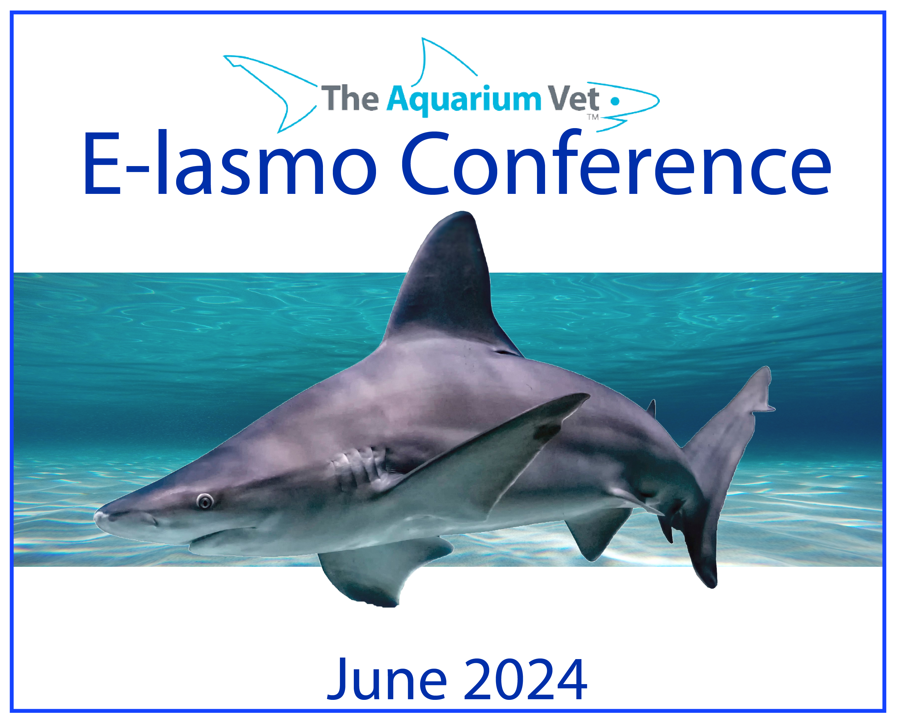 E-lasmo Conference 2024 - Early Bird