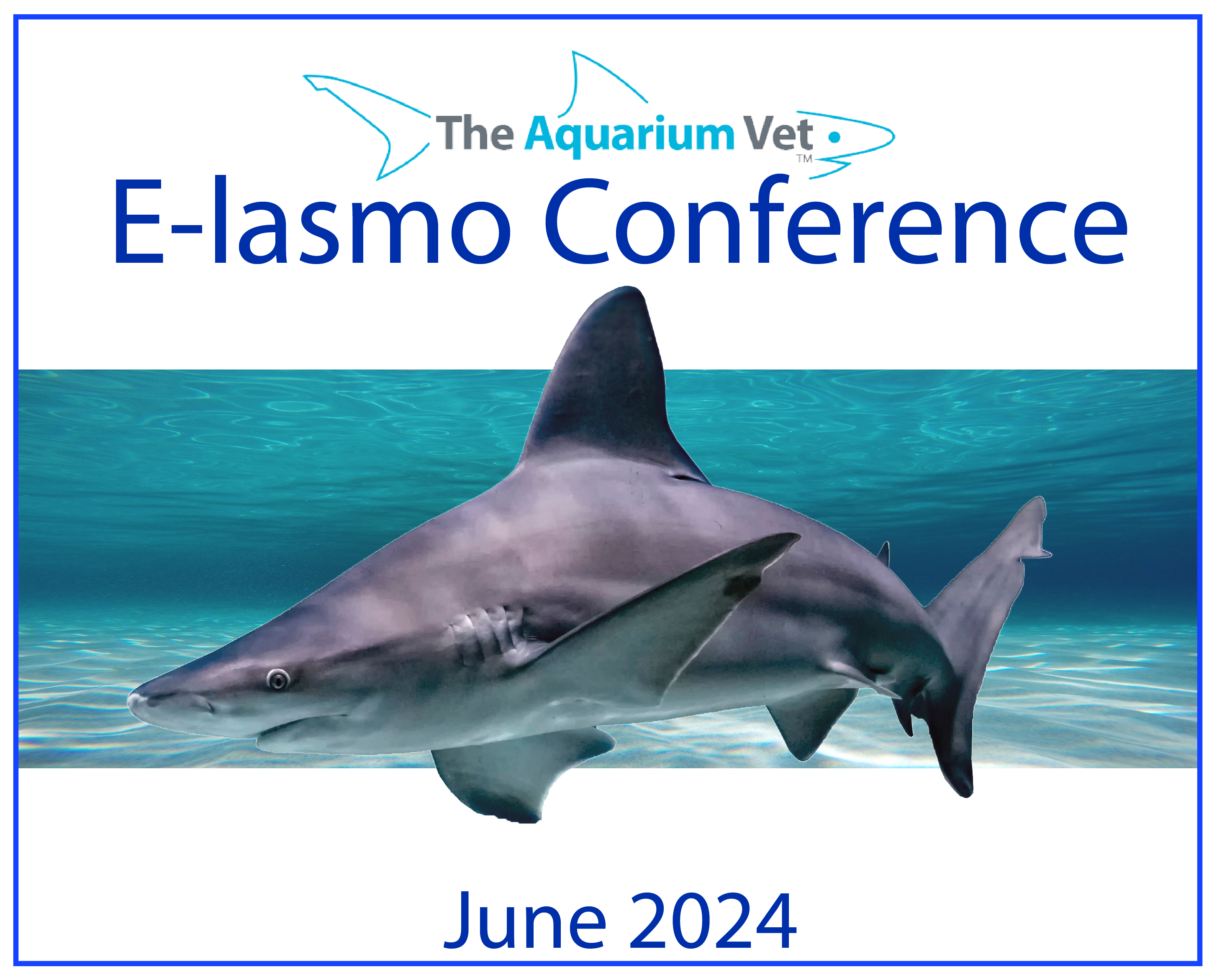 E-lasmo Conference 2024